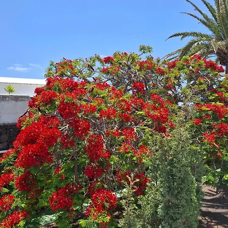 Loma Appartement Puerto del Carmen (Lanzarote)
