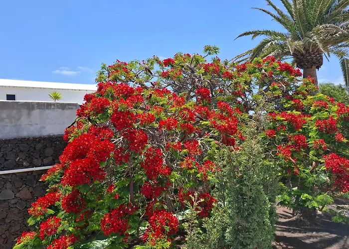 Fabulous 1-bed In Apartamento Puerto del Carmen (Lanzarote)